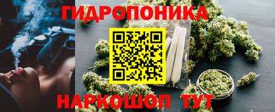дмт Ярославль