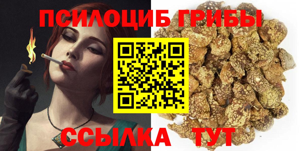 Псилоцибиновые грибы мухоморы Александров