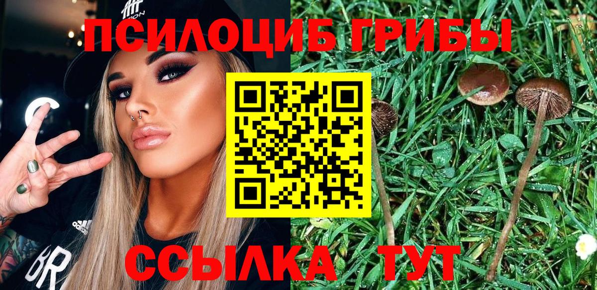 Галлюциногенные грибы GOLDEN TEACHER  Псилоцибиновые грибы Psilocybine cubensis  Вход с VPN  Александров 
